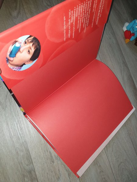 galleryimage 3