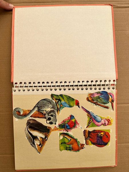 galleryimage 2