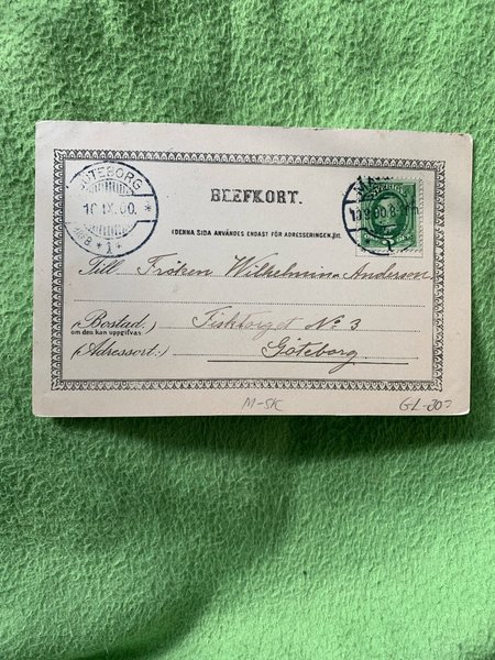 galleryimage 2 zoomed in