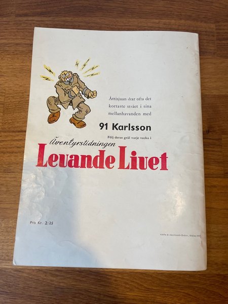 galleryimage 2 zoomed in