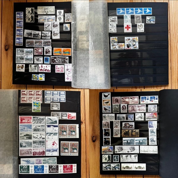 galleryimage 2