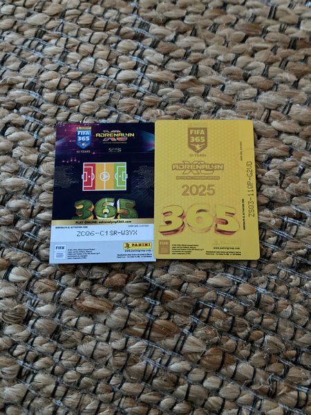 galleryimage 2 zoomed in