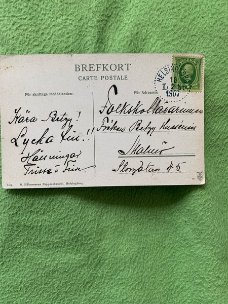 galleryimage 2 zoomed in