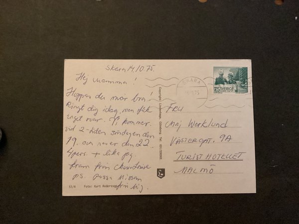 galleryimage 2 zoomed in