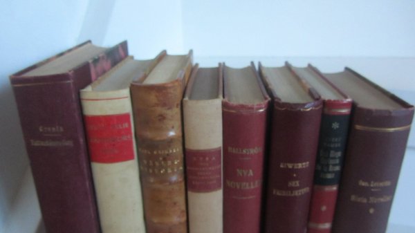 galleryimage 3