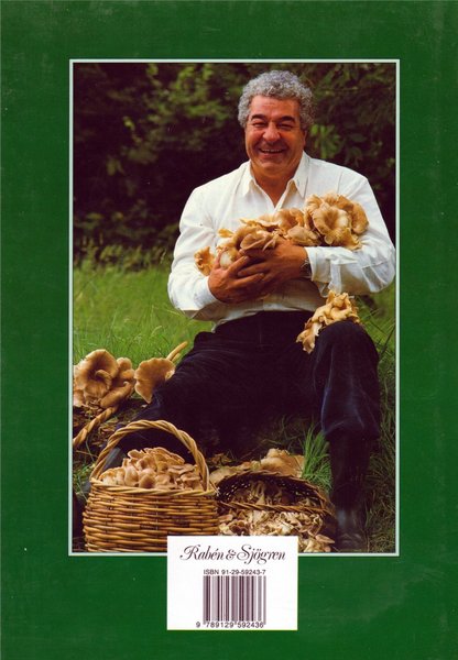 galleryimage 2 zoomed in