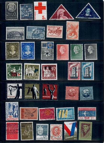 galleryimage 3