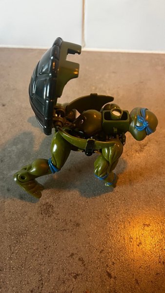 galleryimage 2