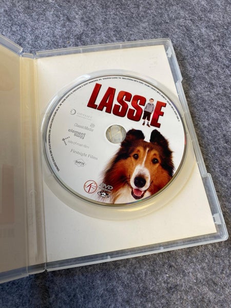 galleryimage 3