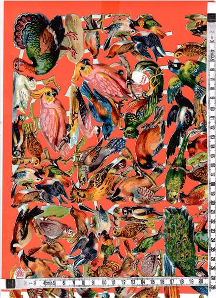 galleryimage 2