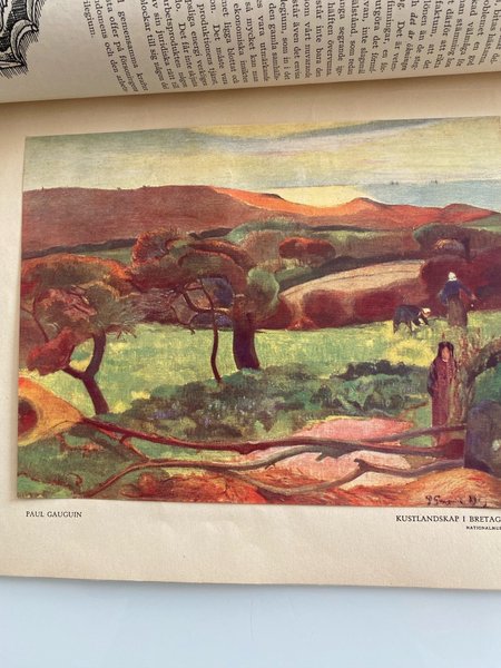 galleryimage 3