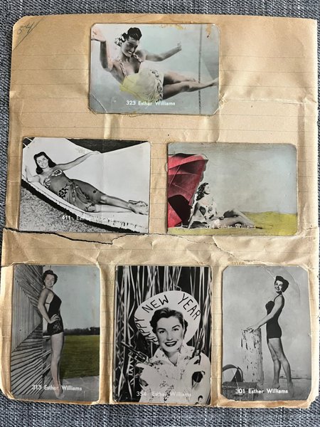 galleryimage 3
