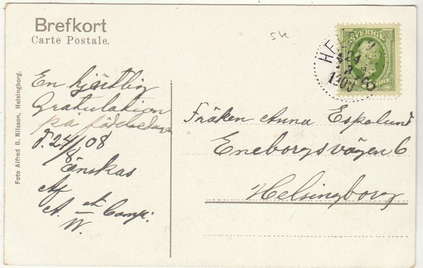 galleryimage 2 zoomed in