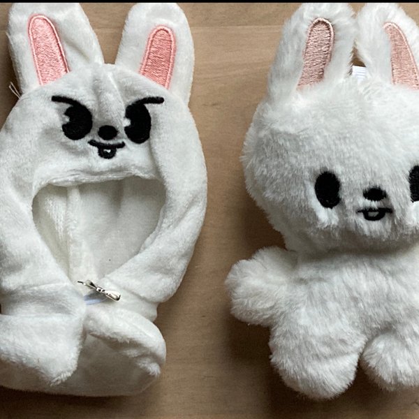 galleryimage 2 zoomed in