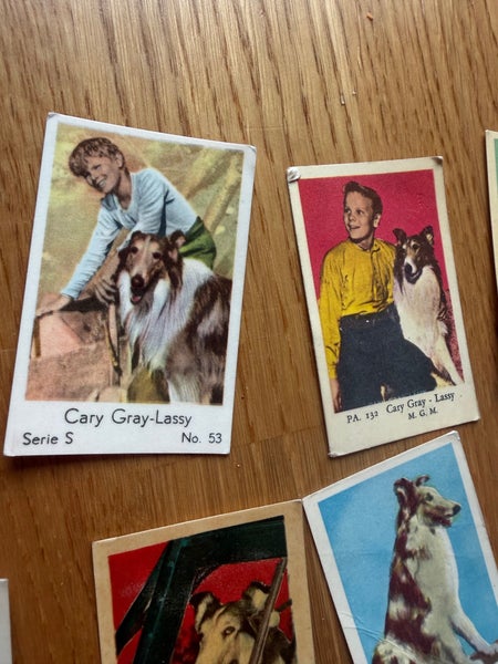 galleryimage 3