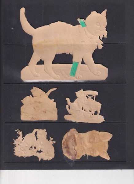 galleryimage 2 zoomed in