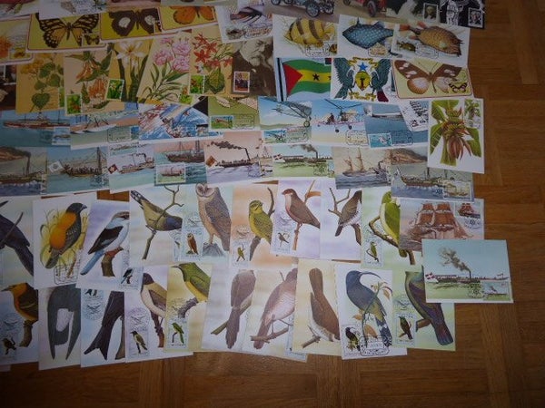 galleryimage 3