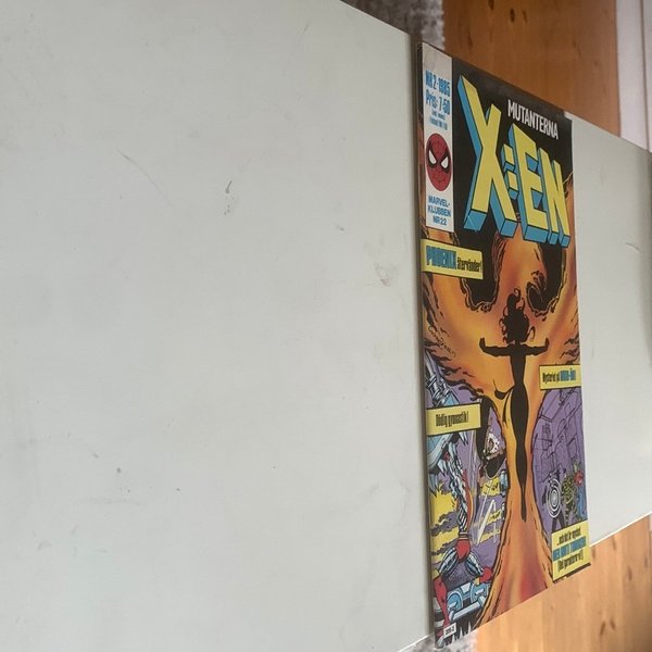 galleryimage 3
