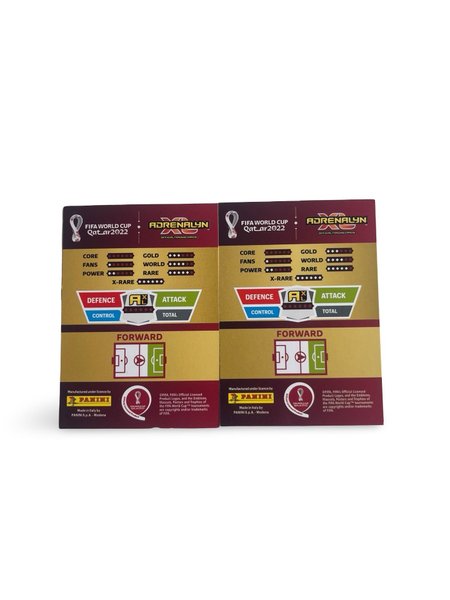 galleryimage 2 zoomed in