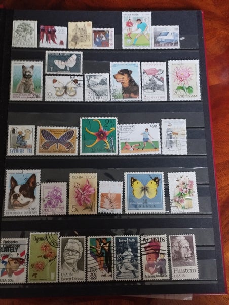 galleryimage 2
