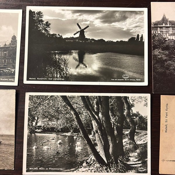 galleryimage 3