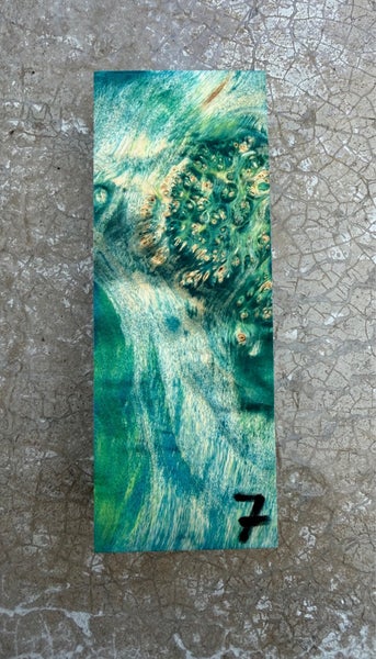 galleryimage 2 zoomed in