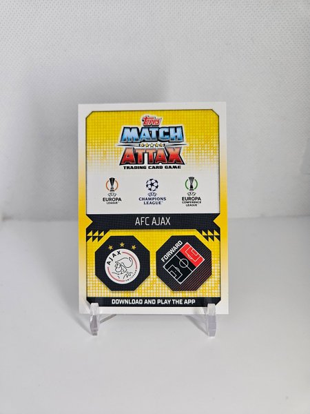 galleryimage 2 zoomed in