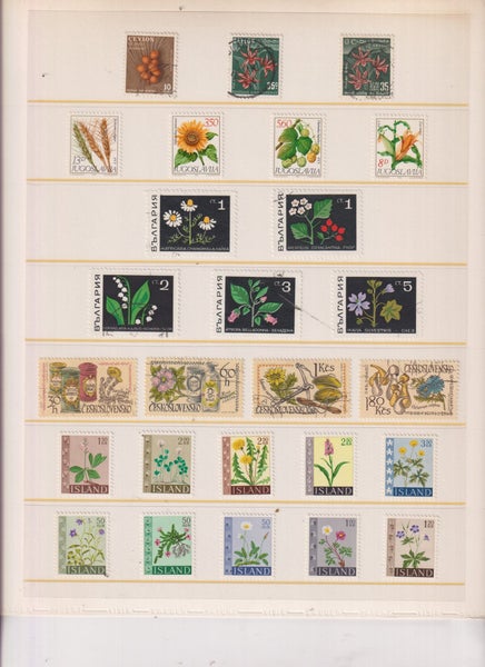 galleryimage 3