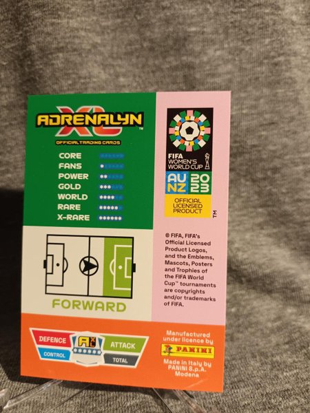 galleryimage 2 zoomed in