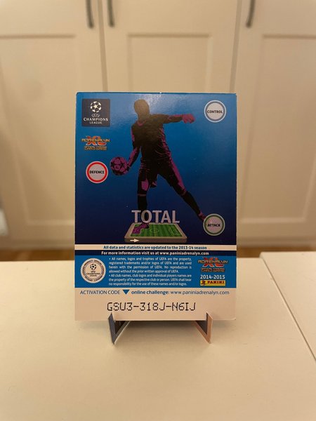 galleryimage 2 zoomed in