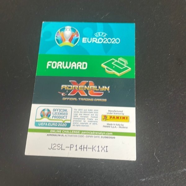 galleryimage 2 zoomed in