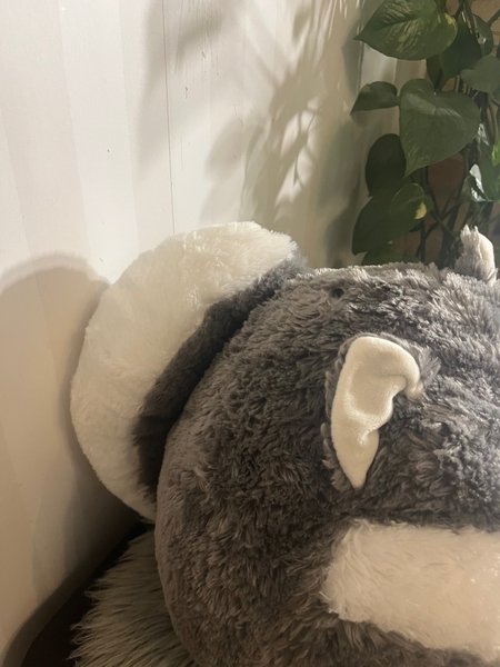 galleryimage 2 zoomed in