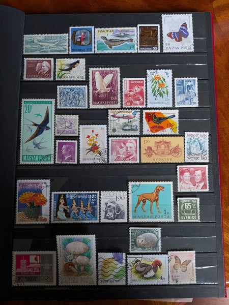 galleryimage 2