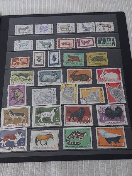 galleryimage 3