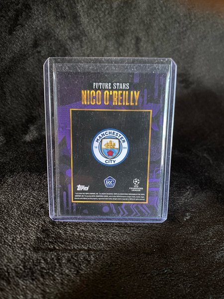 galleryimage 2 zoomed in