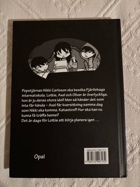 galleryimage 2 zoomed in