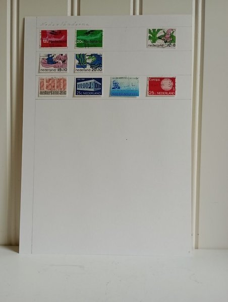 galleryimage 2