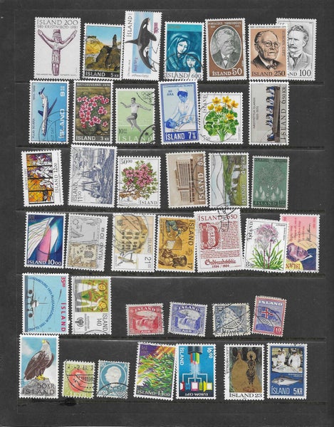 galleryimage 3