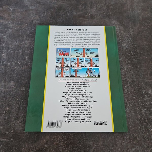 galleryimage 2 zoomed in