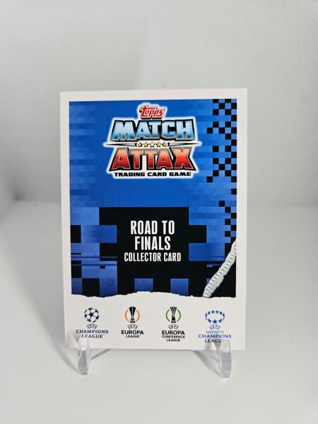 galleryimage 2 zoomed in