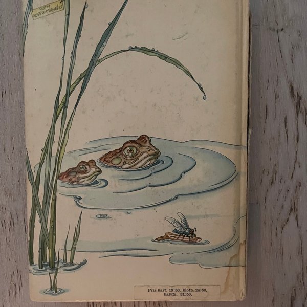 galleryimage 2