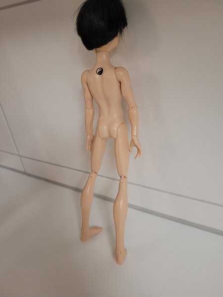 galleryimage 3
