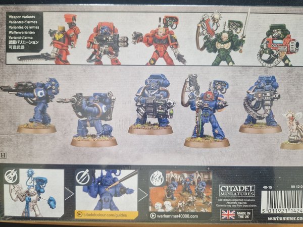 galleryimage 2