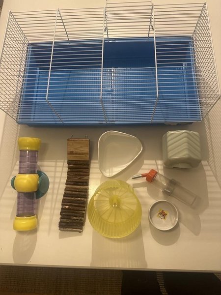 galleryimage 2