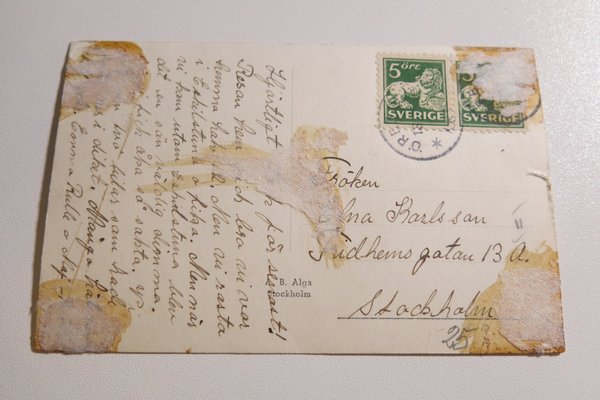 galleryimage 2 zoomed in