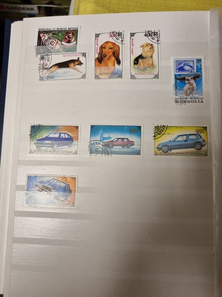 galleryimage 3