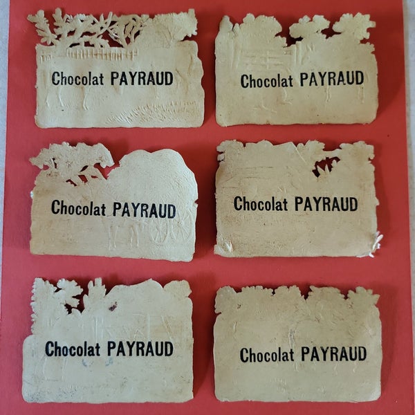 galleryimage 2 zoomed in