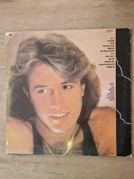 galleryimage 2 zoomed in