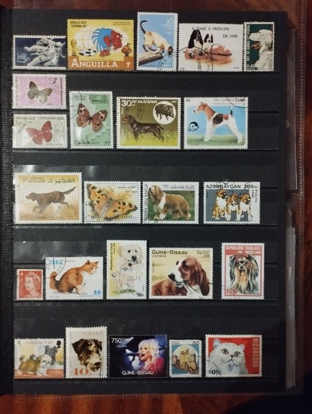 galleryimage 2 zoomed in