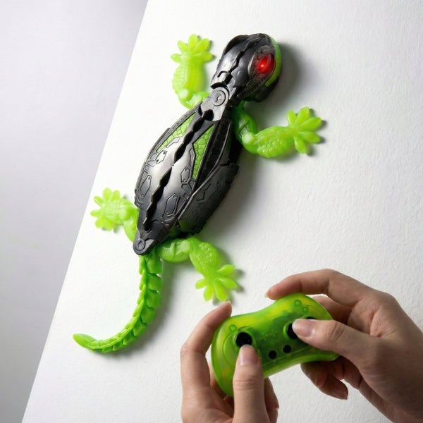 galleryimage 3
